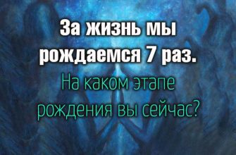 За жизнь мы рождаемся 7 раз