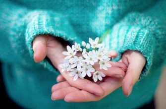 Пять самых добрых знаков Зодиака