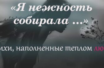 Я нежность собирала