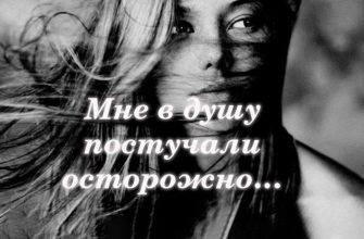 Мне в душу постучали осторожно…