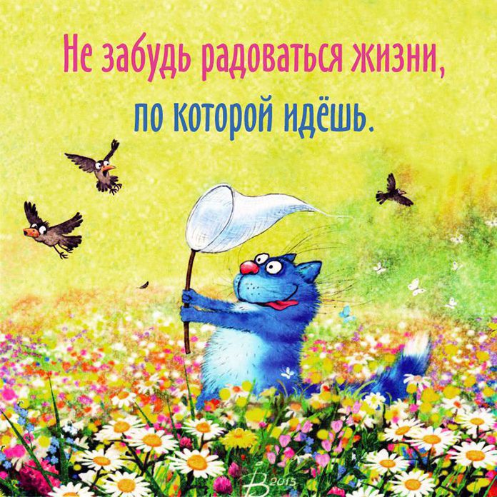 Без кота и жизнь не та: обязанности по дому каждого кота
