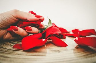 Ваш счастливый цветок согласно вашему знаку Зодиака