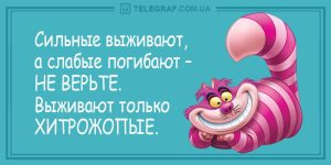 Разрывные анекдоты для хорошего настроения — лучшее начало дня