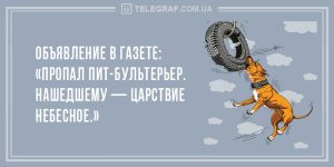 Разрывные анекдоты для хорошего настроения — лучшее начало дня