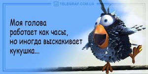 Разрывные анекдоты для хорошего настроения — лучшее начало дня