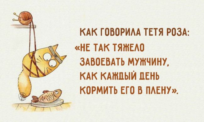 Отличные шутки про женщин и мужчин