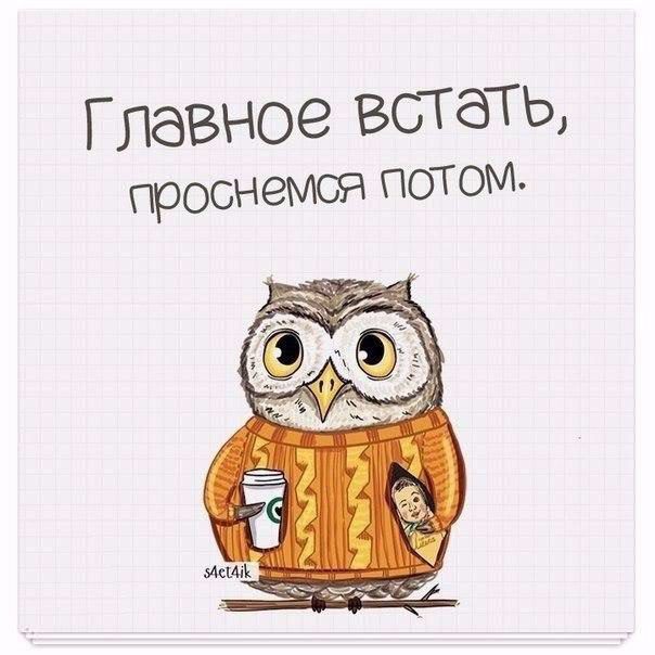 Поднимите себе настроение Друзья