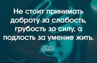 Не стоит принимать доброту за слабость, грубость за силу, а подлость за умение жить.