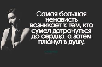 Самая большая ненависть возникает к тем, кто сумел дотронуться до сердца, а затем плюнул в душу.