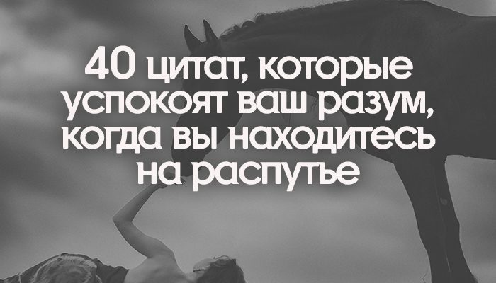 40 цитат, которые успокоят ваш разум, когда вы находитесь на распутье