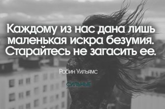 Каждому из нас дана лишь маленькая искра безумия. Старайтесь не загасить ее.