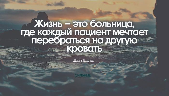 Жизнь – это больница, где каждый пациент мечтает перебраться на другую кровать