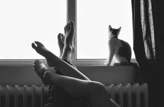 Я, кстати, женат, но у меня с женой уже ничего нет
