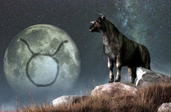 Самые важные годы в жизни каждого знака Зодиака