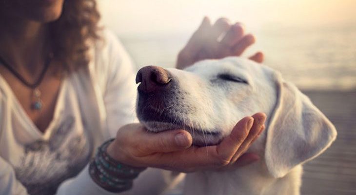 4 самых добрых знака Зодиака, которые часто за свою доброту получают предательство в ответ