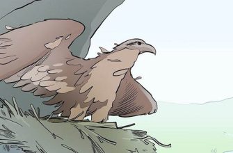 Для того, чтобы жить дальше необходимо меняться
