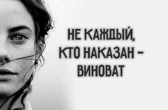 Не каждый, кто наказан — виноват