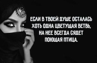 25 мудрых арабских пословиц