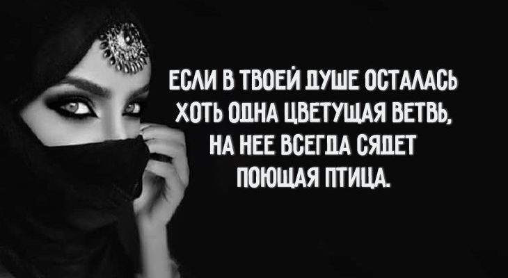 25 мудрых арабских пословиц
