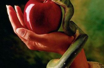 Ваш самый большой грех — согласно знаку Зодиака
